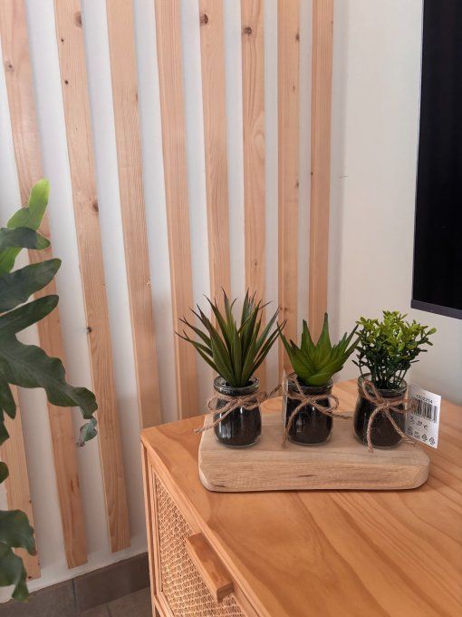 Plante pot en verre