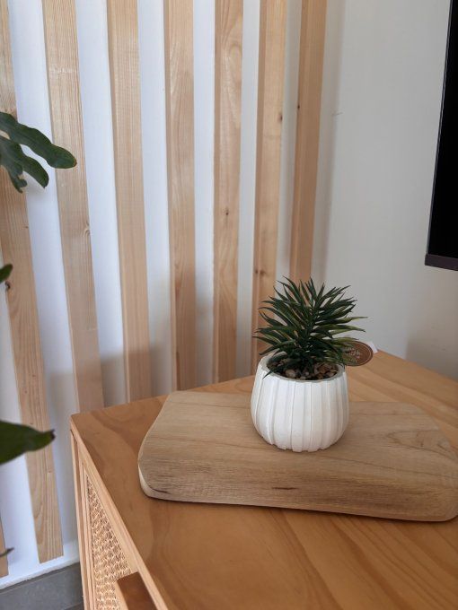 Plante en pot 1 