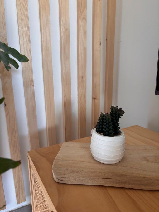 Plante en pot 2
