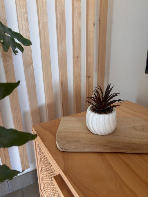 Plante en pot 4