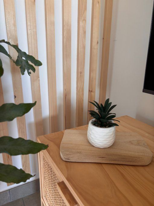 Plante en pot 3