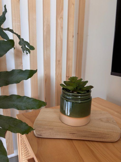 Plante en pot céramique vert 